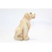 Dog Animal Natural White Indian Jade Stone Hand Carved Painted Home Decor B229